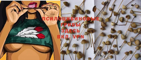 PSILOCYBIN Волоколамск